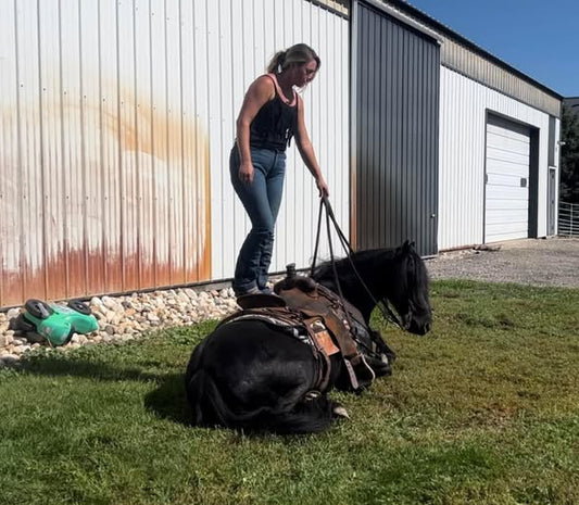 Selling horses in today’s market should come with hazard pay.