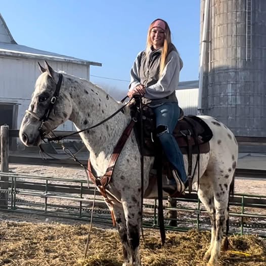 Everyone says they want a broke horse…