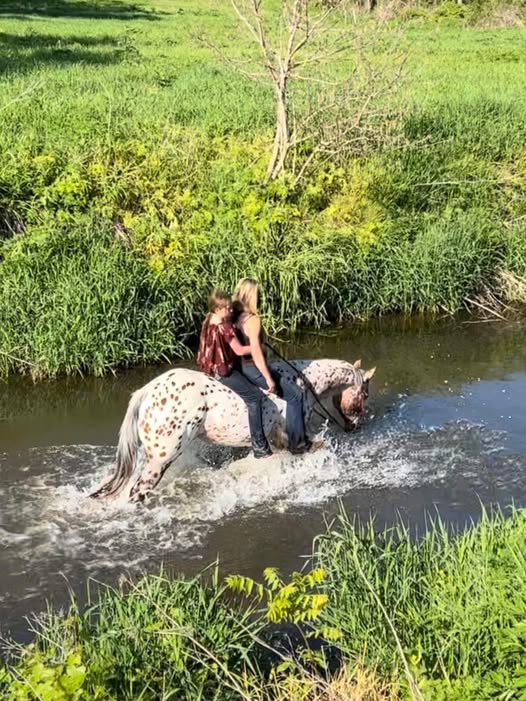 I’m raising kids who know the smell of hay, the sound of hooves, and the weight of responsibility.