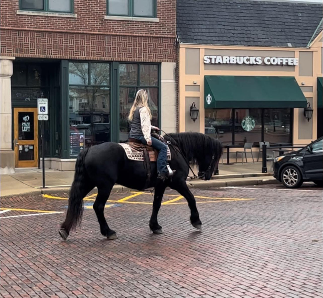 Buying and selling horses should qualify as an Olympic sport.