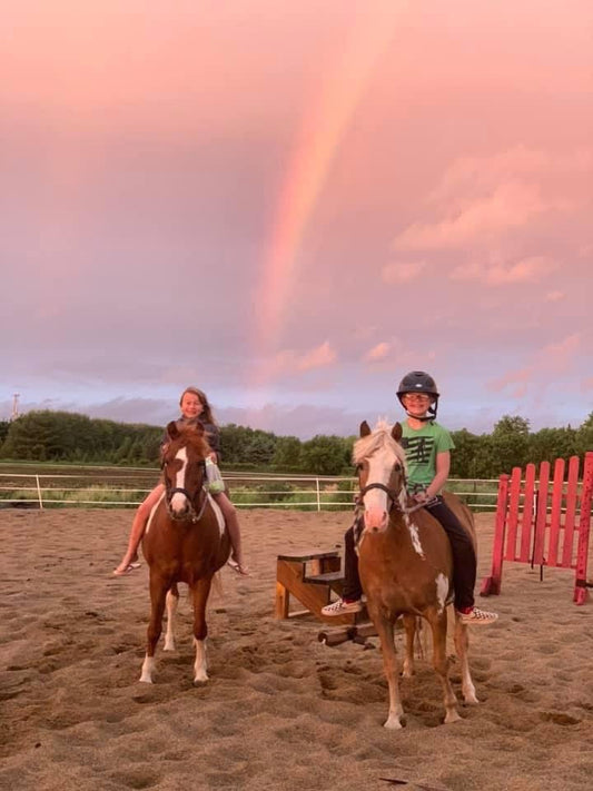 There are no $1,000 neighbor horses anymore.