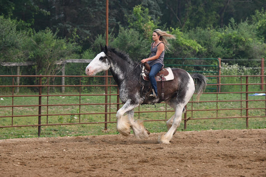 What makes you a horse person